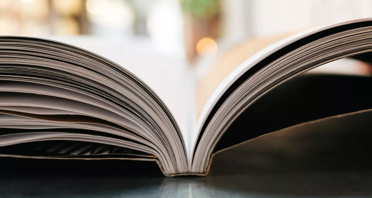 zu unseren Publikationen. Aufgeschlagenes Buch. Quelle: unsplash | Jonas Jacobsson